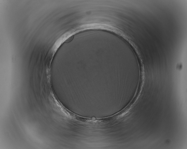 X0000115411529200911171347