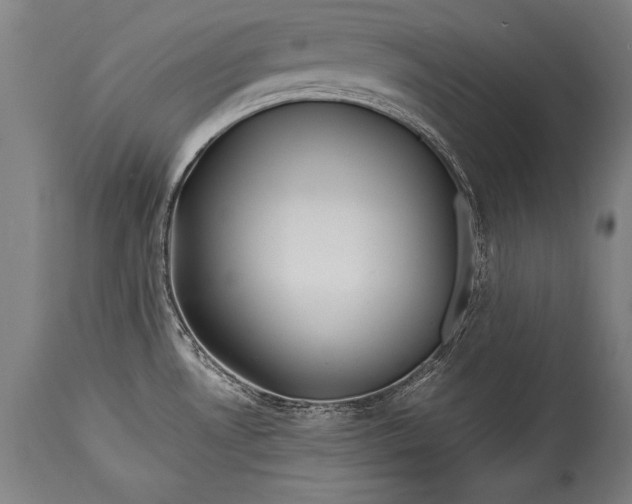 X0000115411530200911171347