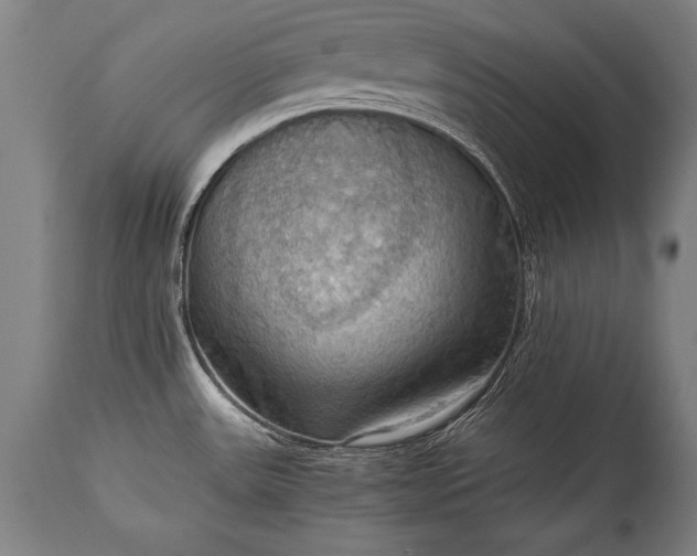 X0000115411531200911171347