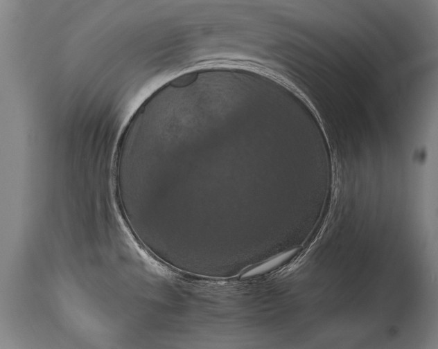 X0000115411533200911171347