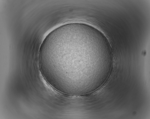 X0000115411534200911171347