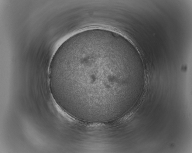 X0000115411535200911171347