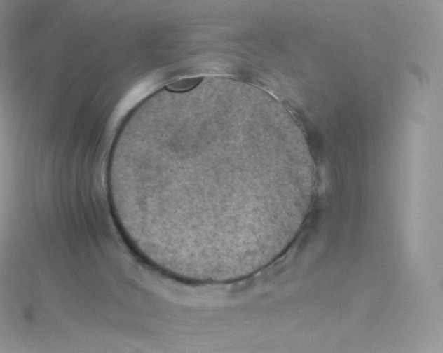 X0000115410004200911241337