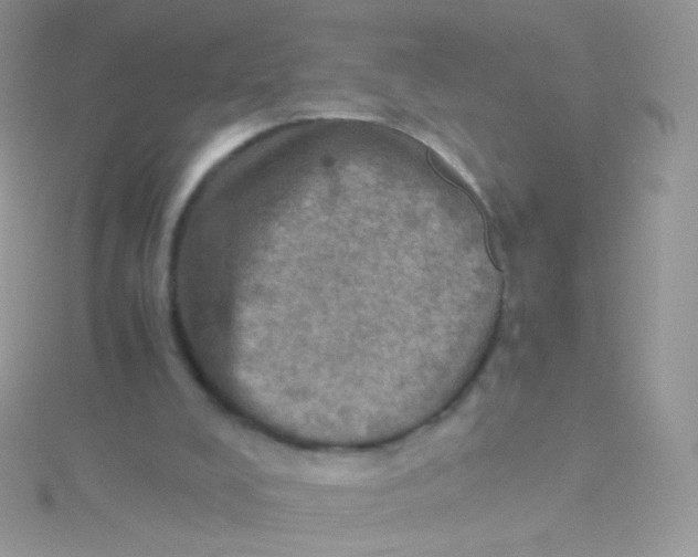 X0000115410008200911241337