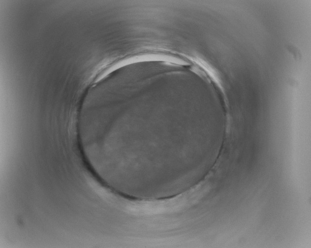 X0000115410009200911241337