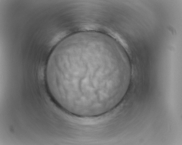 X0000115410010200911241337