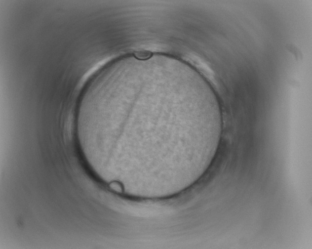 X0000115410012200911241337