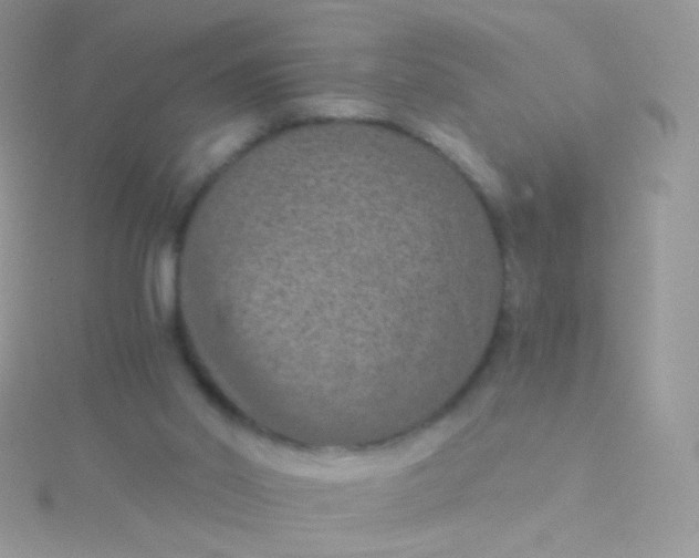 X0000115410014200911241337