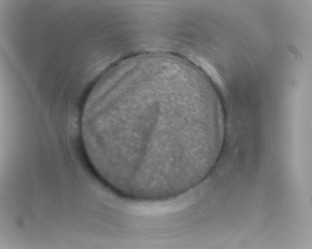 X0000115410017200911241337