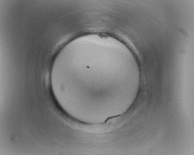 X0000115410019200911241337