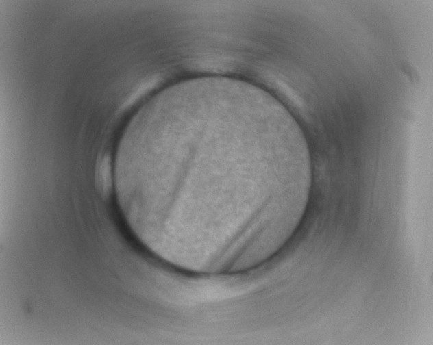 X0000115410020200911241337