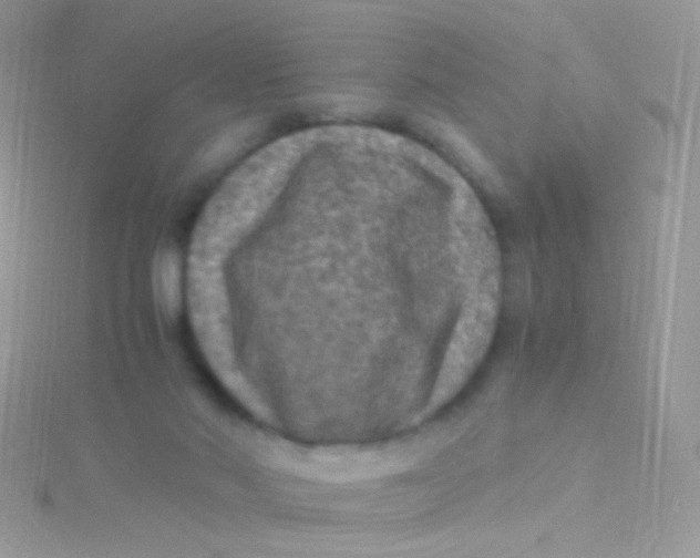 X0000115410022200911241337