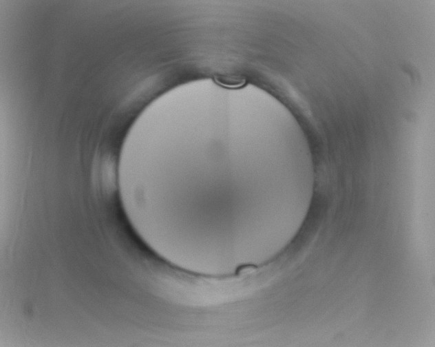 X0000115410027200911241337