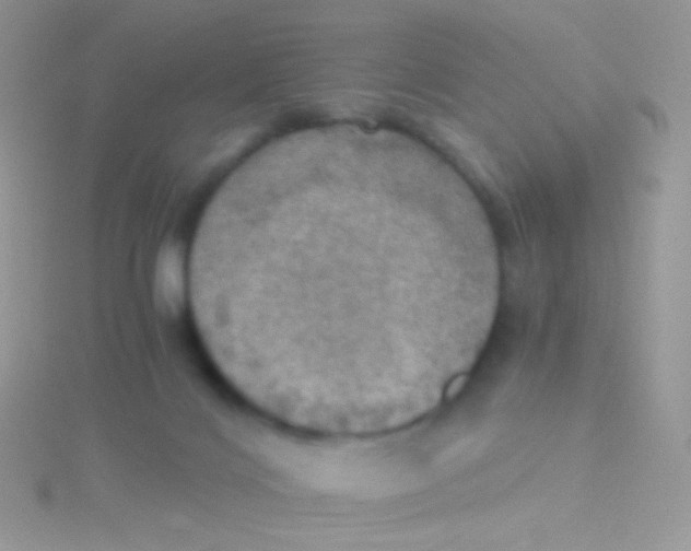 X0000115410028200911241337