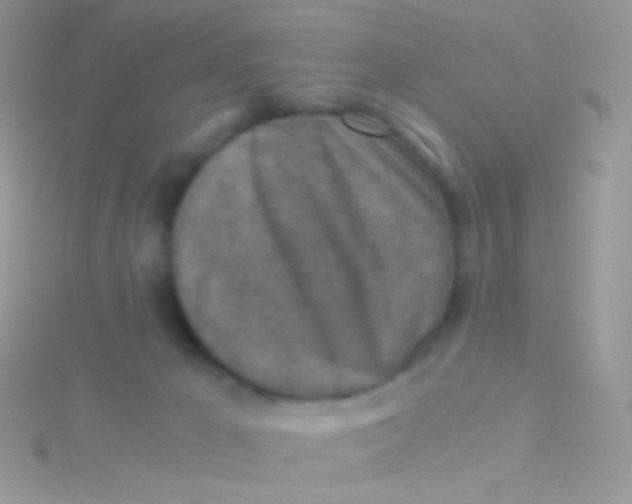 X0000115410029200911241337