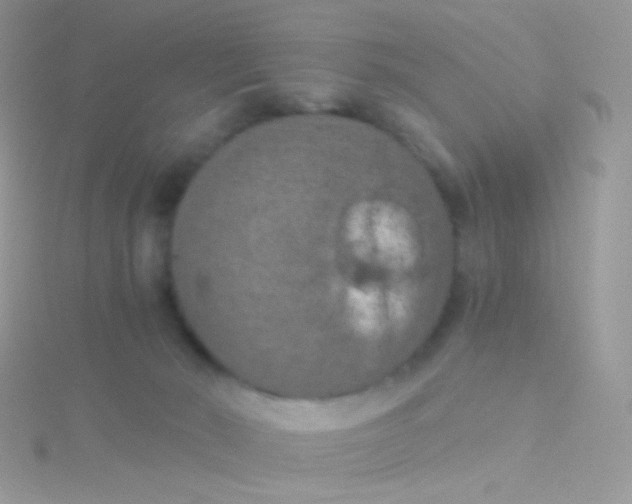 X0000115410030200911241337