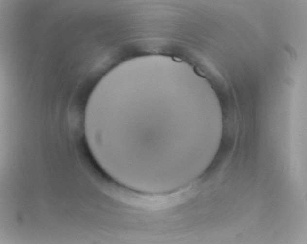 X0000115410031200911241337