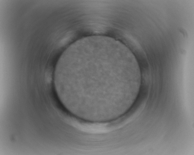 X0000115410032200911241337