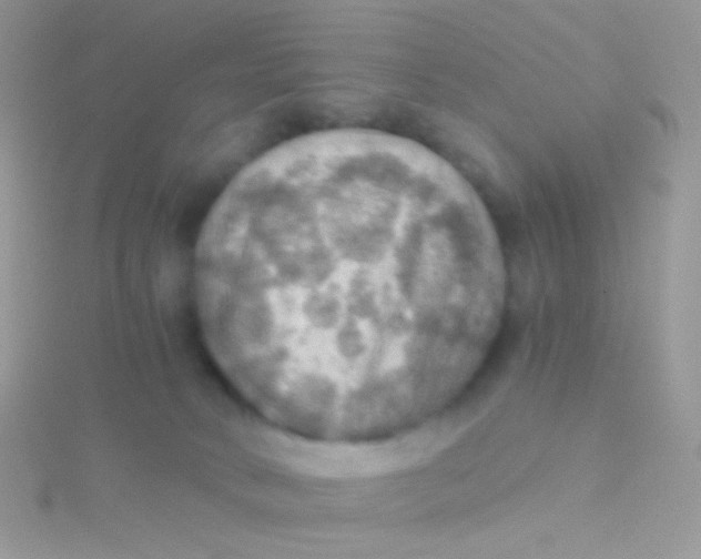 X0000115410034200911241337