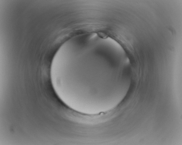 X0000115410035200911241337