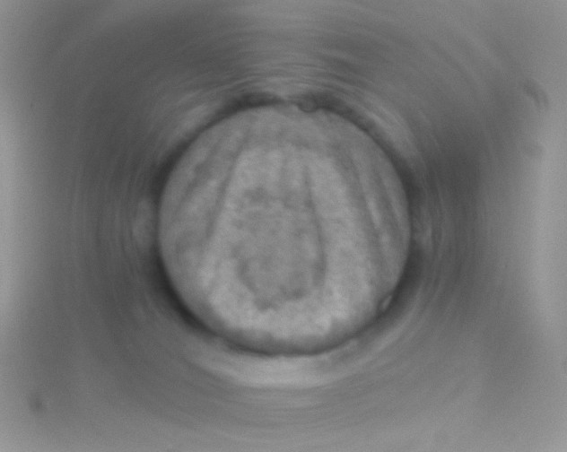 X0000115410036200911241337