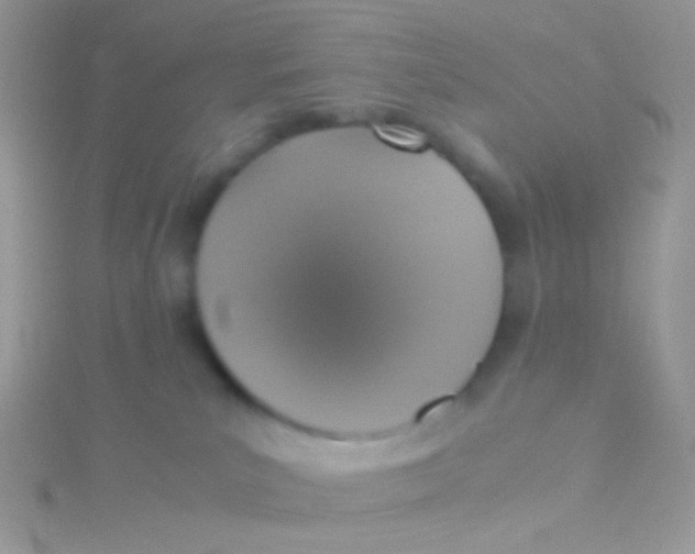 X0000115410039200911241336