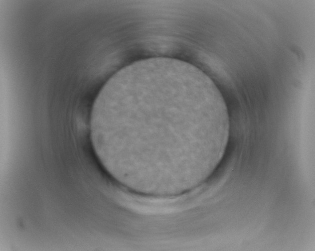 X0000115410040200911241336