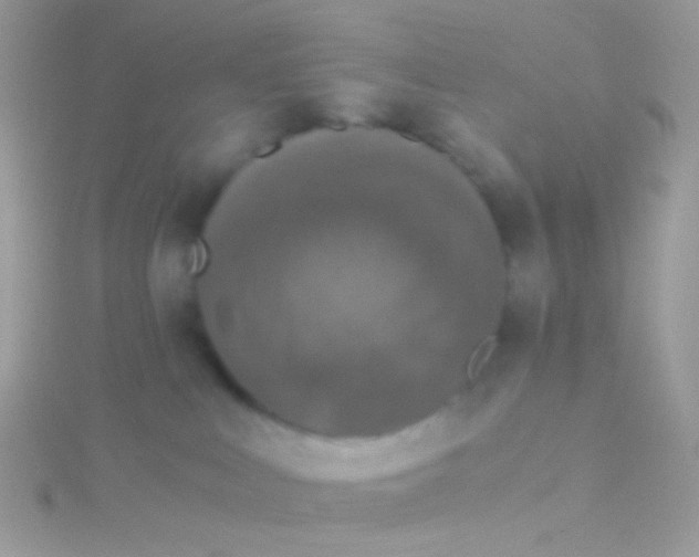 X0000115410043200911241336