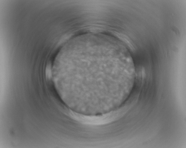 X0000115410046200911241336