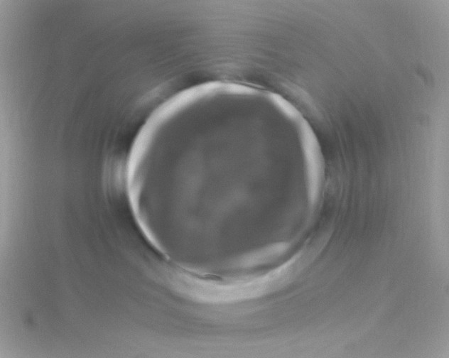 X0000115410047200911241336