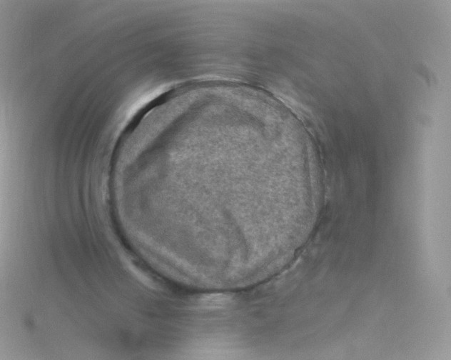 X0000115410050200911241336