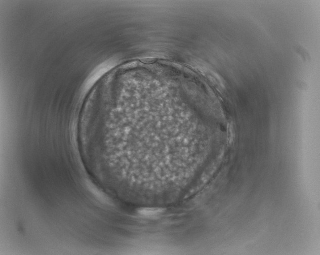 X0000115410051200911241336