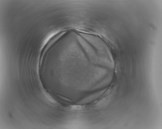 X0000115410052200911241336