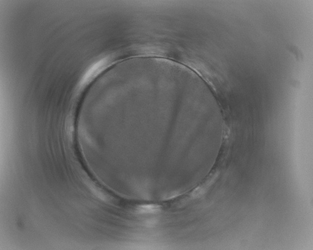 X0000115410053200911241336