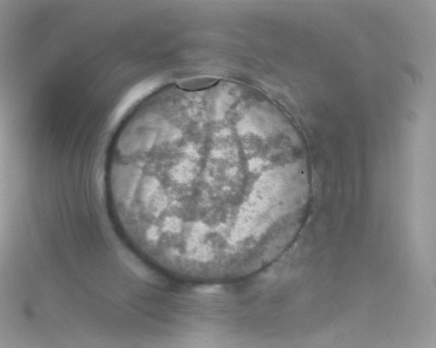 X0000115410054200911241336