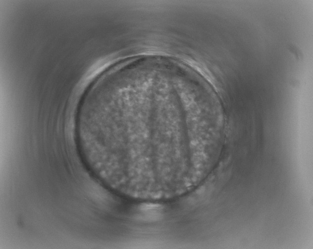 X0000115410055200911241336