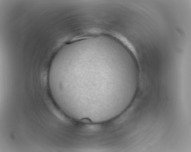 X0000115410057200911241336