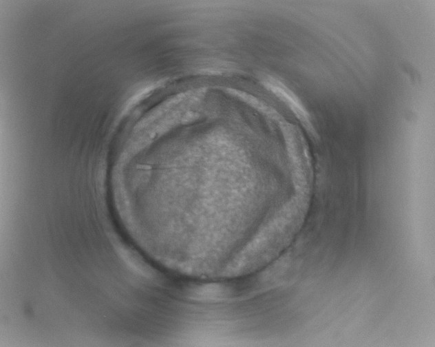 X0000115410058200911241336