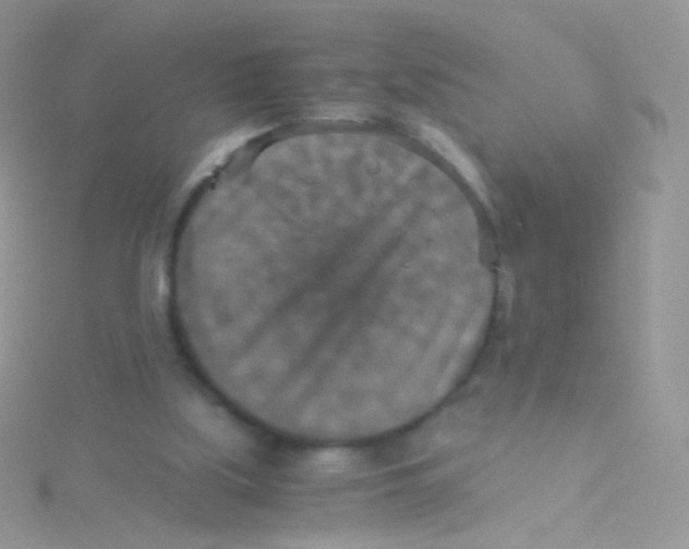 X0000115410059200911241336