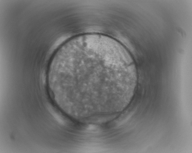 X0000115410060200911241336