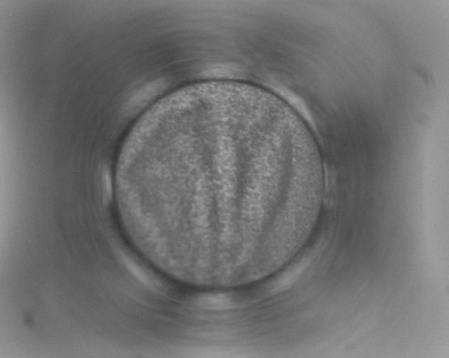 X0000115410061200911241336