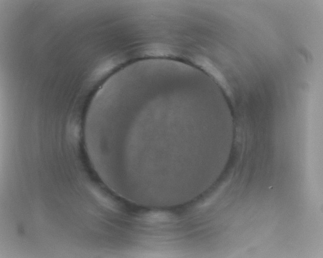 X0000115410063200911241336