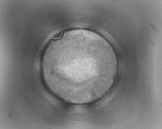 X0000115410064200911241336