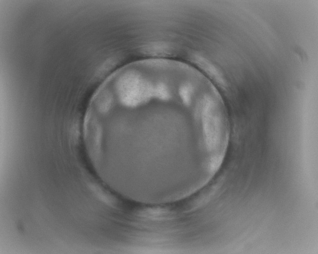 X0000115410065200911241336