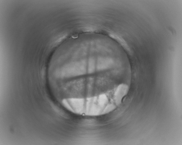 X0000115410066200911241336