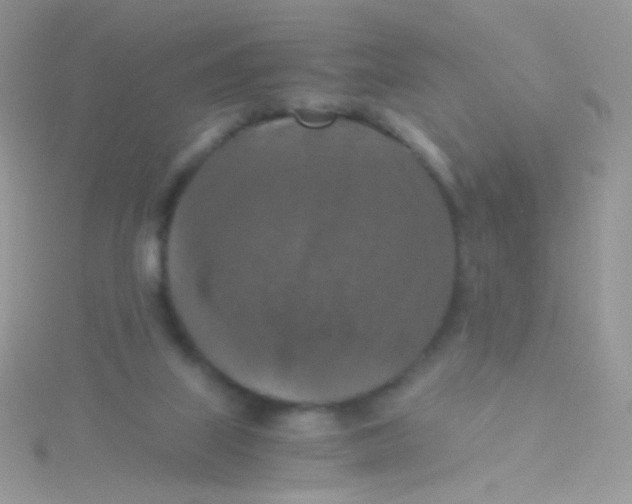 X0000115410067200911241336