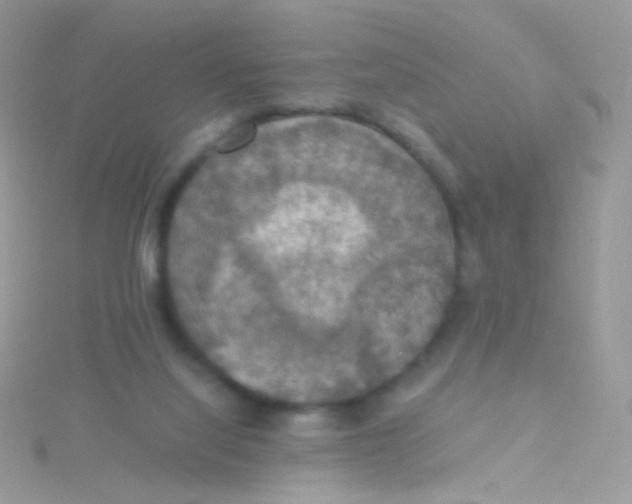 X0000115410068200911241336