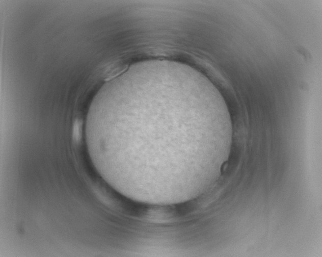 X0000115410070200911241336