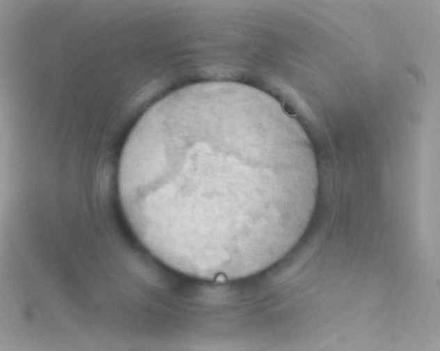 X0000115410071200911241336