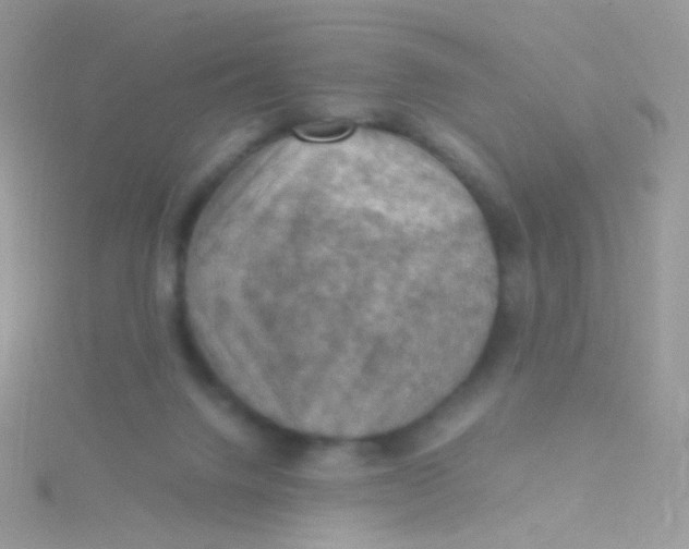 X0000115410072200911241336